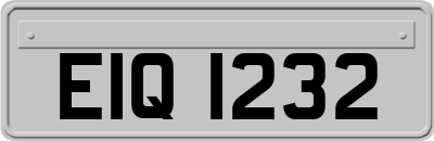 EIQ1232