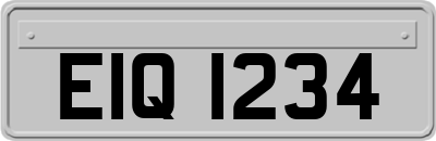 EIQ1234