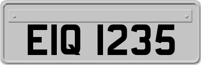 EIQ1235