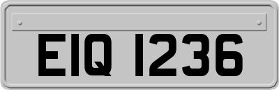 EIQ1236