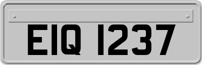 EIQ1237