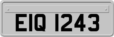 EIQ1243