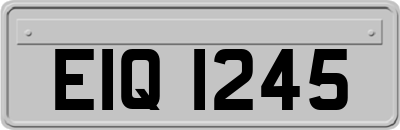 EIQ1245