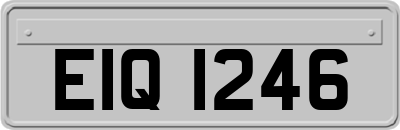 EIQ1246