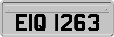 EIQ1263