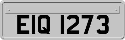 EIQ1273