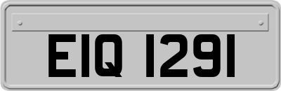 EIQ1291