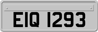 EIQ1293