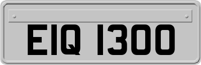 EIQ1300