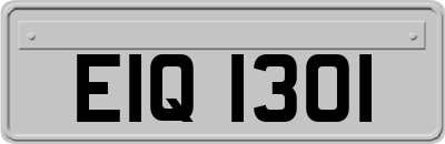 EIQ1301