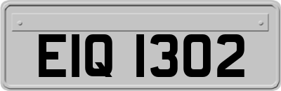 EIQ1302