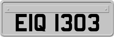 EIQ1303