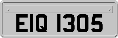 EIQ1305