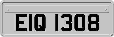 EIQ1308