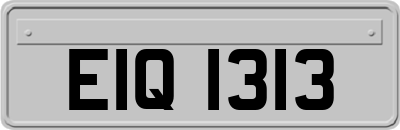 EIQ1313