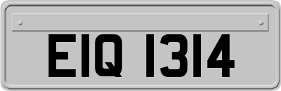 EIQ1314