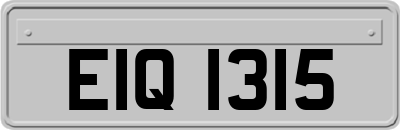 EIQ1315