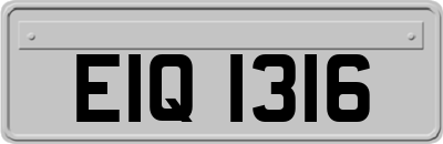 EIQ1316