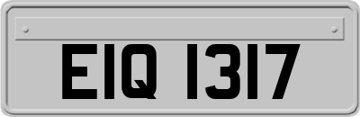 EIQ1317