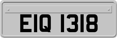EIQ1318
