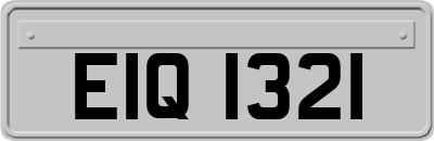EIQ1321