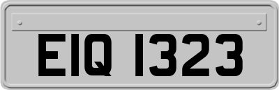 EIQ1323