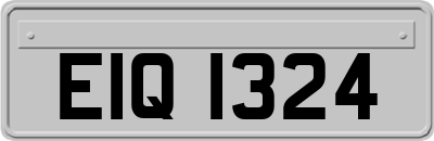 EIQ1324