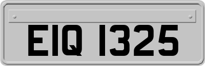 EIQ1325