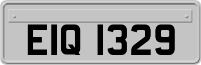 EIQ1329