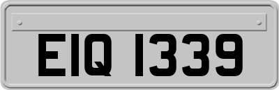 EIQ1339