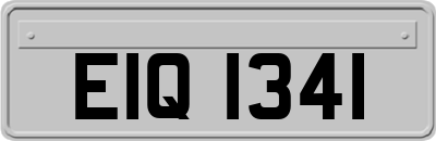 EIQ1341