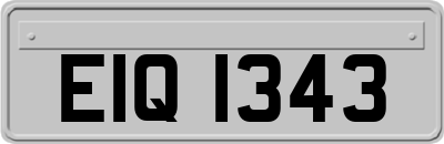 EIQ1343