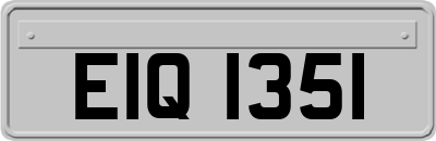EIQ1351