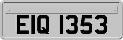EIQ1353