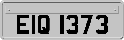 EIQ1373