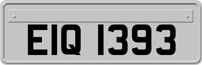 EIQ1393