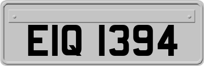 EIQ1394