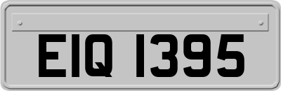 EIQ1395