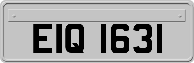 EIQ1631