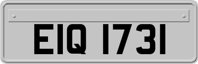 EIQ1731