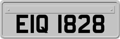 EIQ1828
