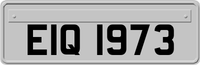 EIQ1973