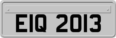 EIQ2013