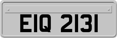 EIQ2131