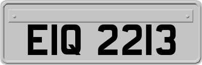 EIQ2213