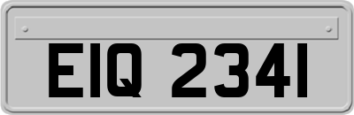 EIQ2341