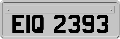 EIQ2393
