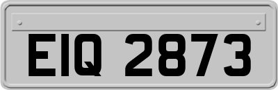 EIQ2873