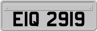 EIQ2919