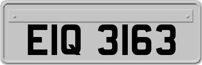 EIQ3163